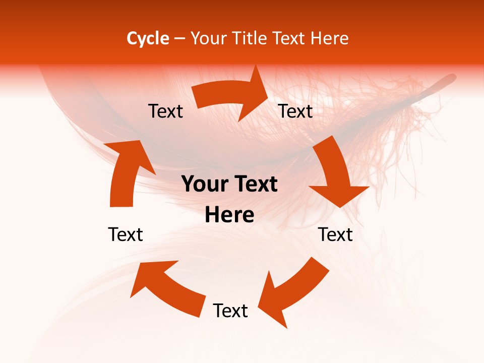 Night Bird Quill PowerPoint Template