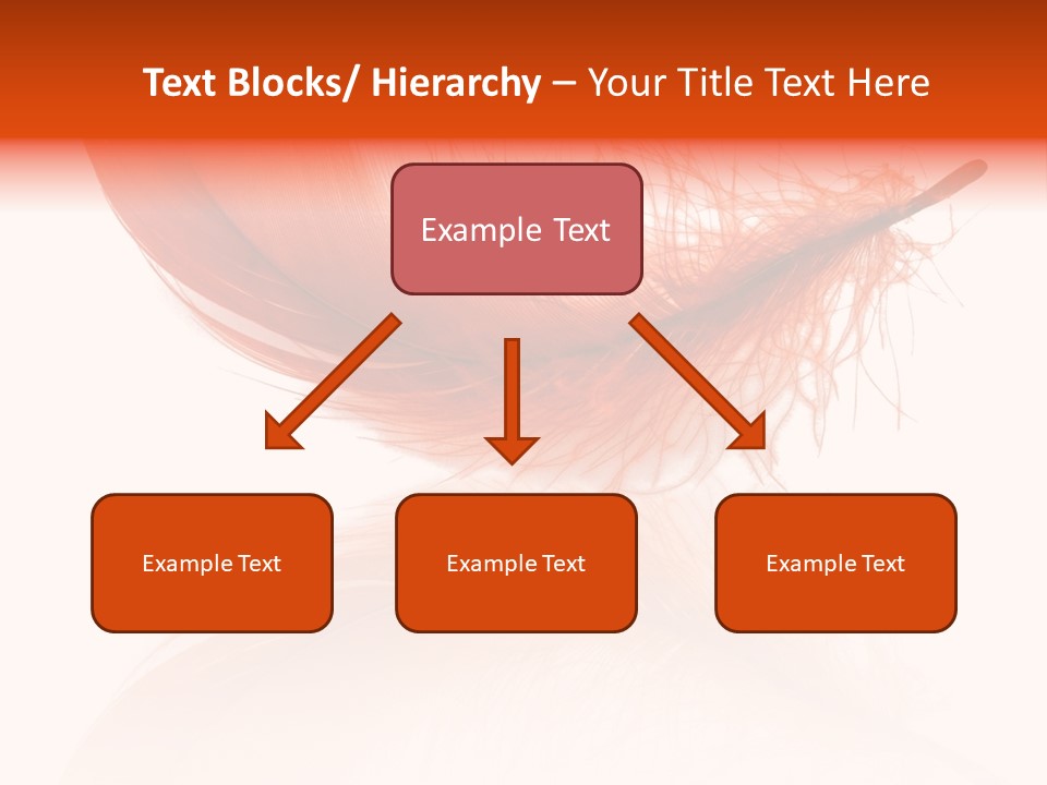 Night Bird Quill PowerPoint Template