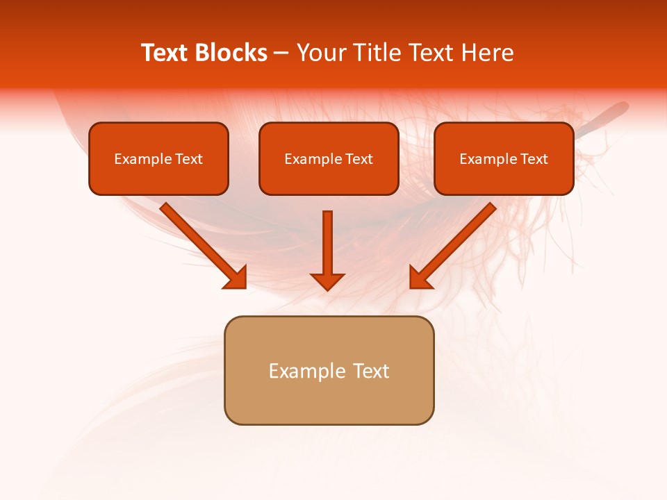 Night Bird Quill PowerPoint Template