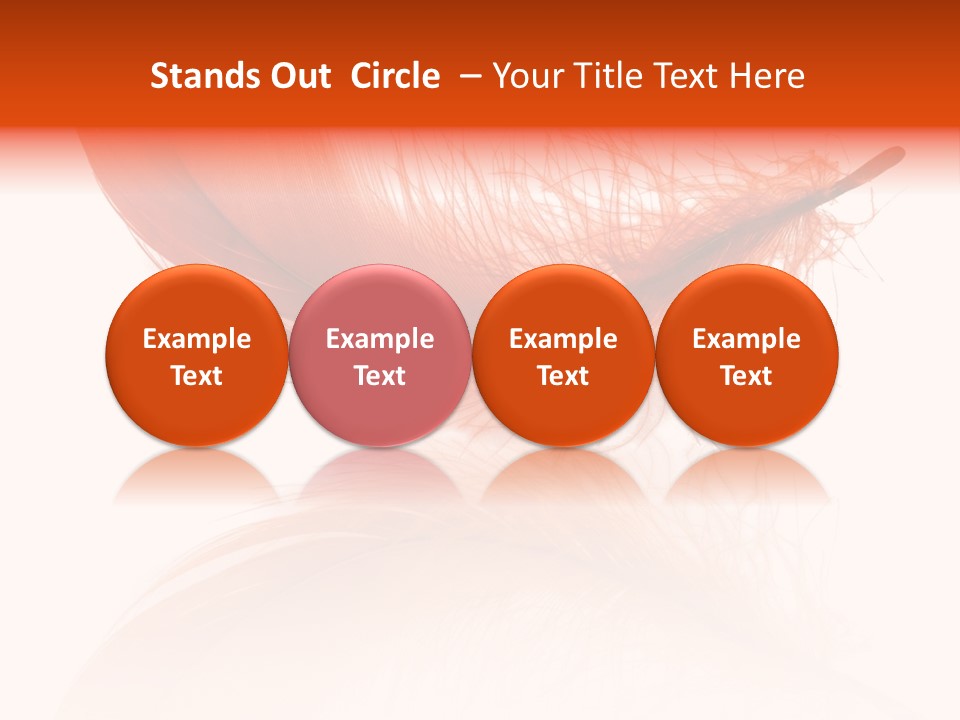 Night Bird Quill PowerPoint Template