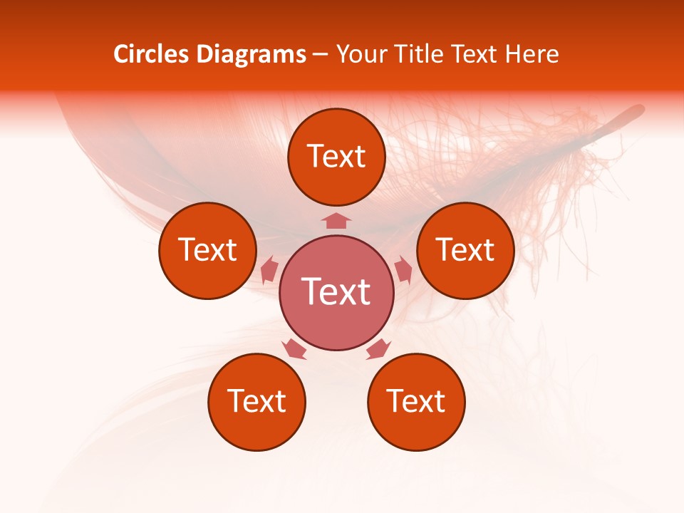 Night Bird Quill PowerPoint Template