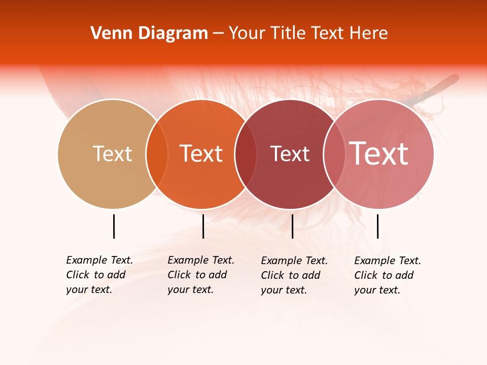 Night Bird Quill PowerPoint Template