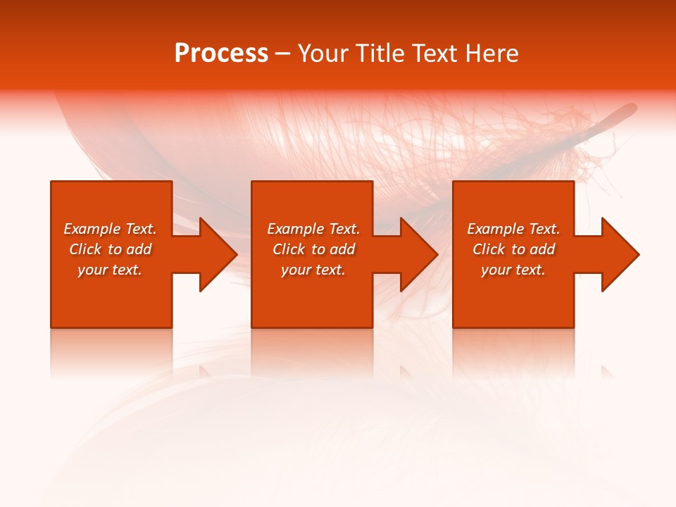 Night Bird Quill PowerPoint Template