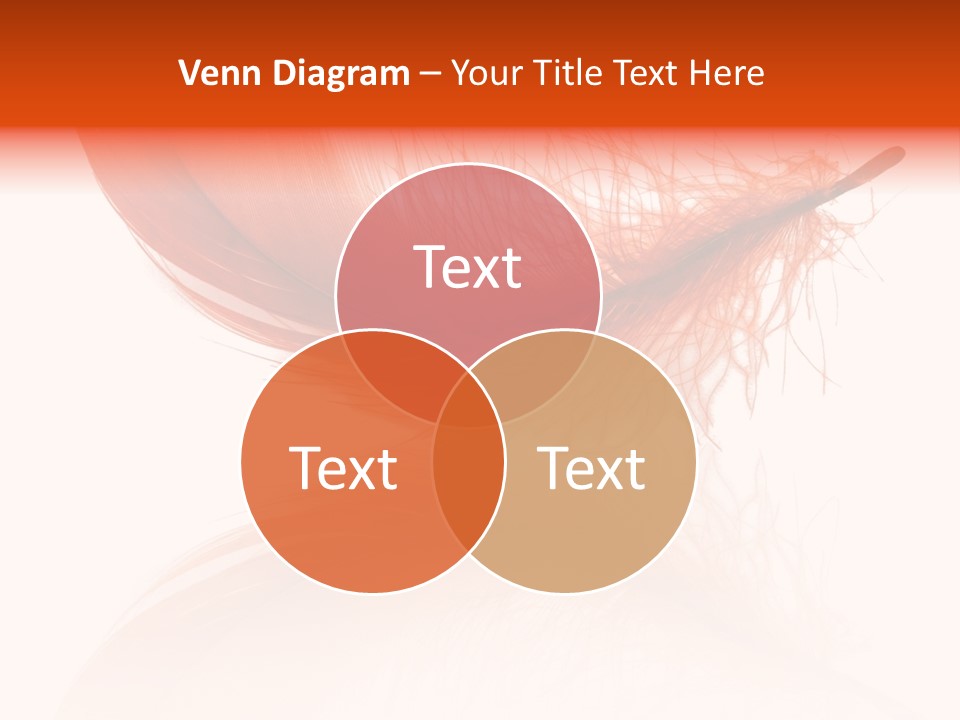 Night Bird Quill PowerPoint Template