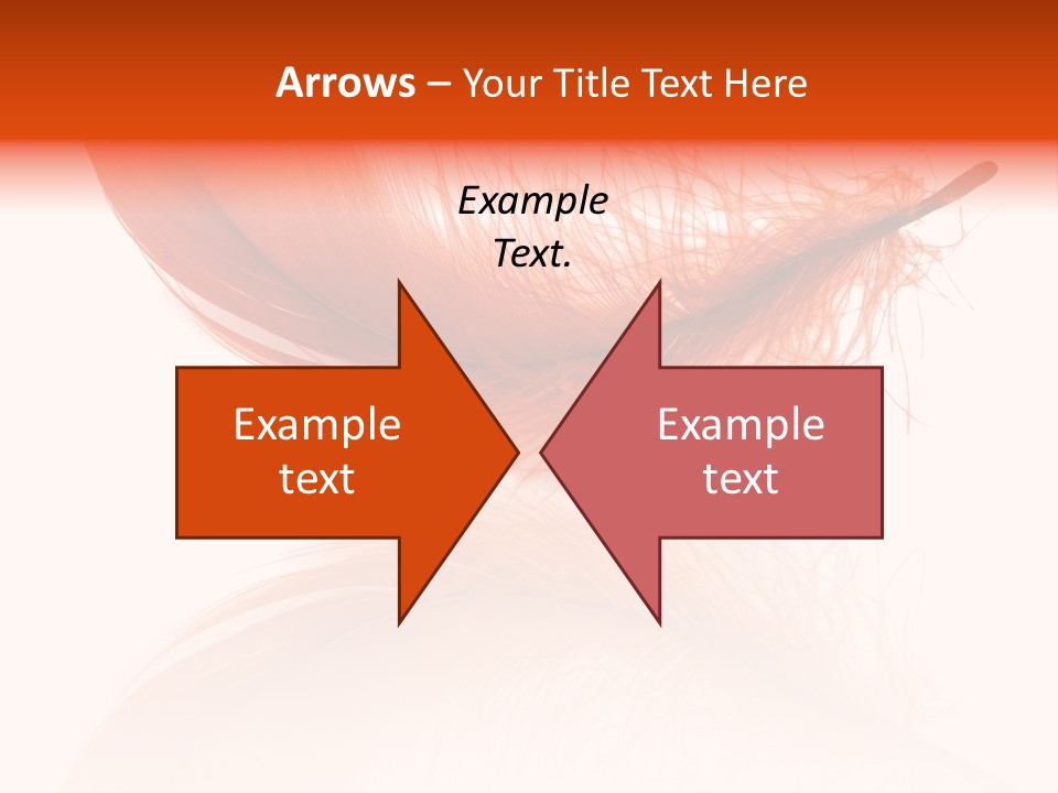 Night Bird Quill PowerPoint Template