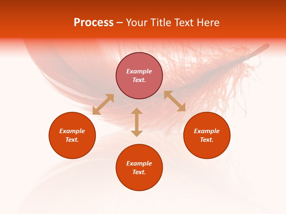 Night Bird Quill PowerPoint Template