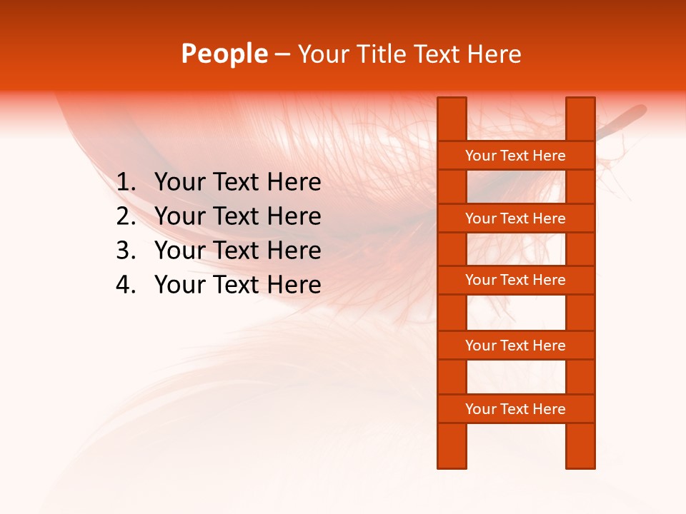 Night Bird Quill PowerPoint Template