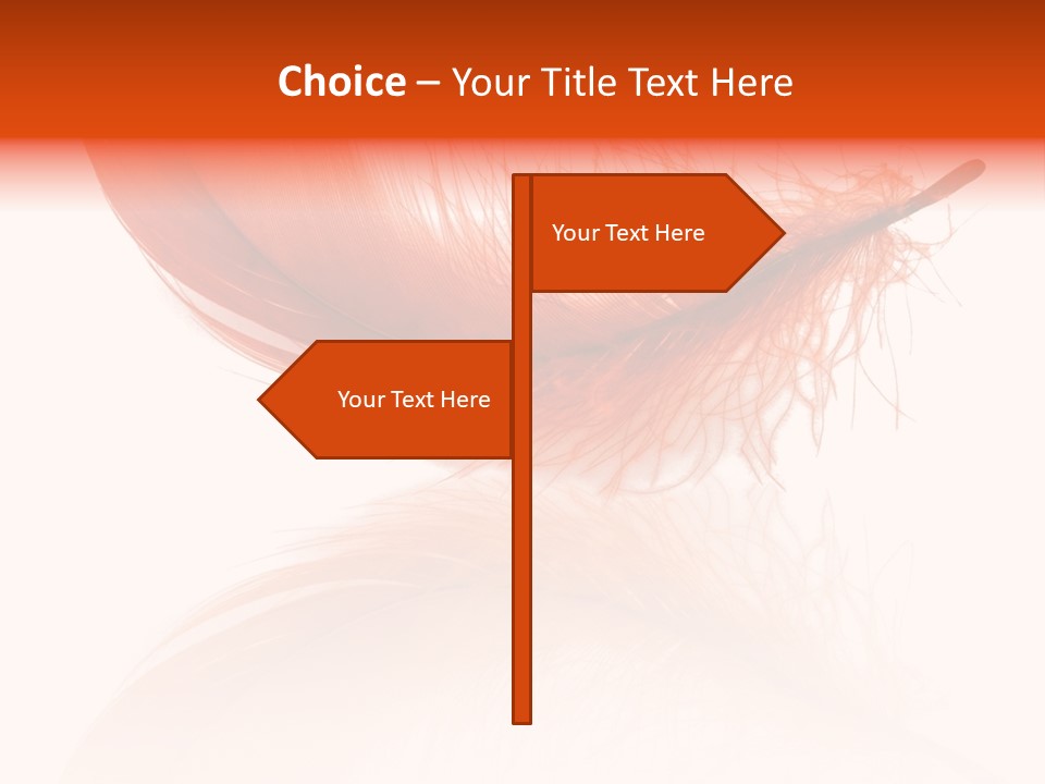 Night Bird Quill PowerPoint Template