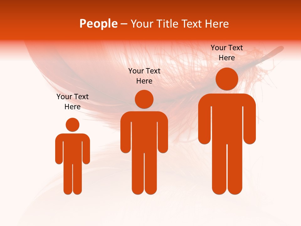 Night Bird Quill PowerPoint Template