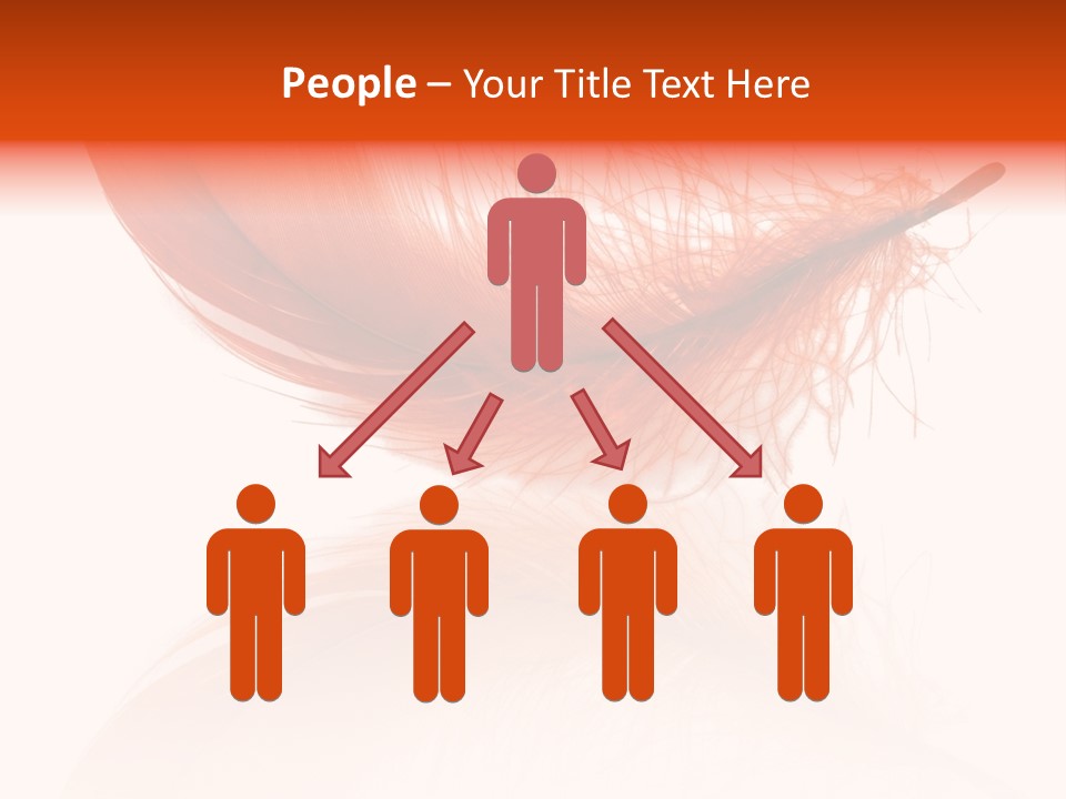 Night Bird Quill PowerPoint Template