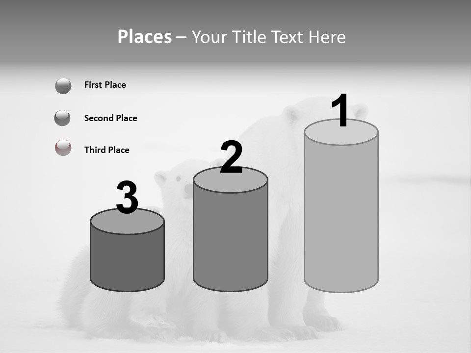 White Paw Northern PowerPoint Template