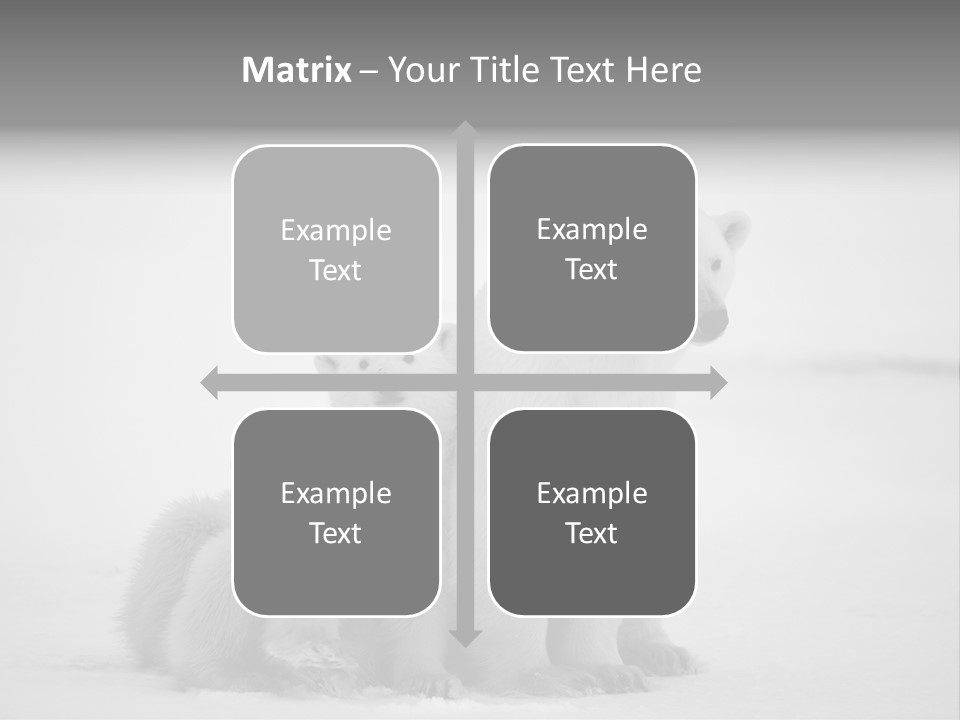 White Paw Northern PowerPoint Template