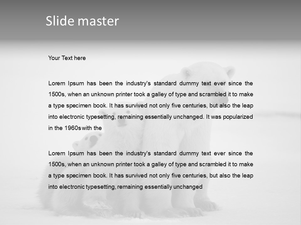 White Paw Northern PowerPoint Template