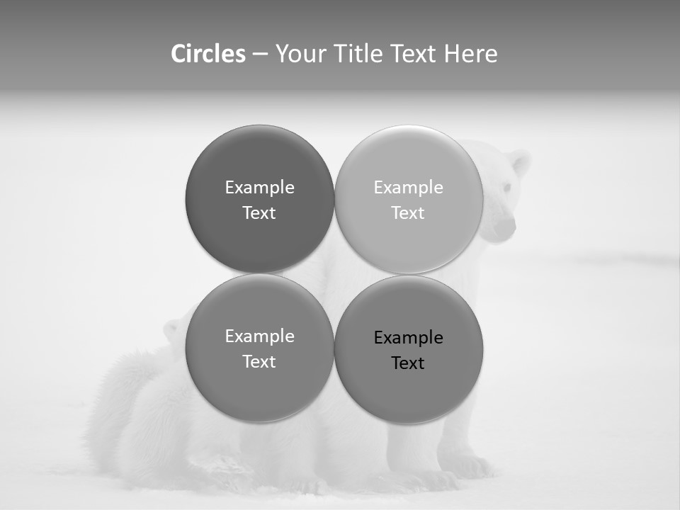 White Paw Northern PowerPoint Template