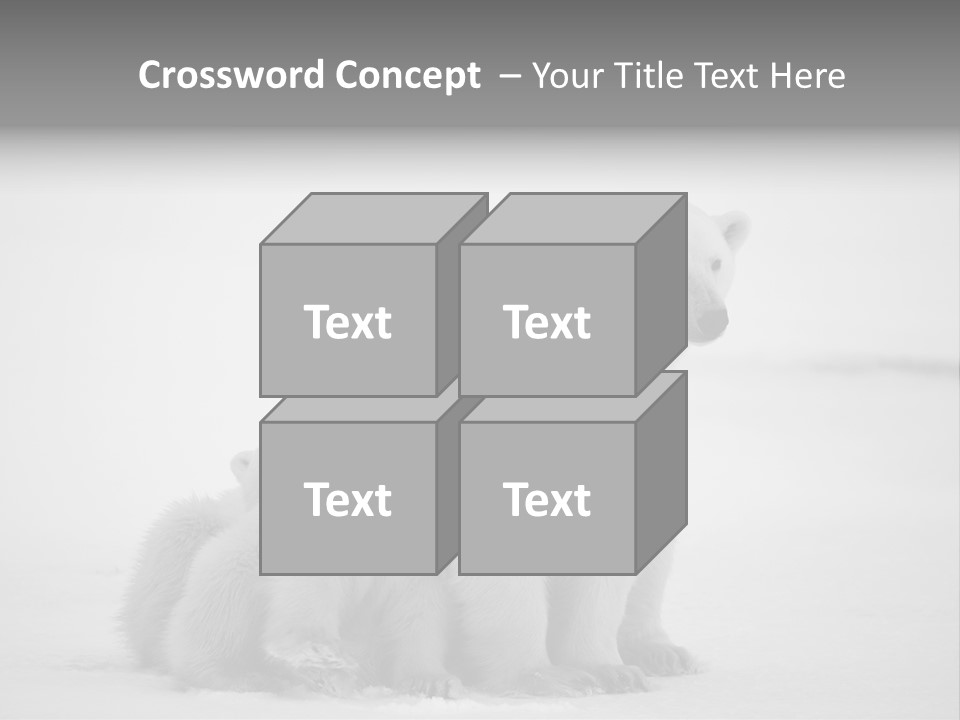 White Paw Northern PowerPoint Template