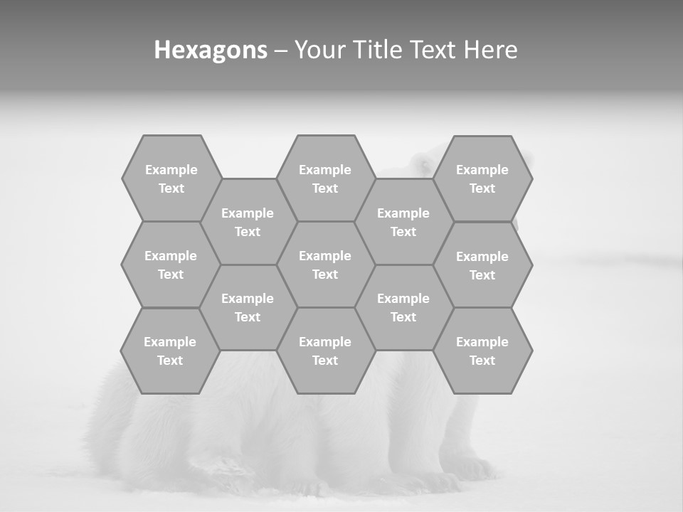 White Paw Northern PowerPoint Template