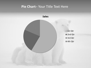 White Paw Northern PowerPoint Template