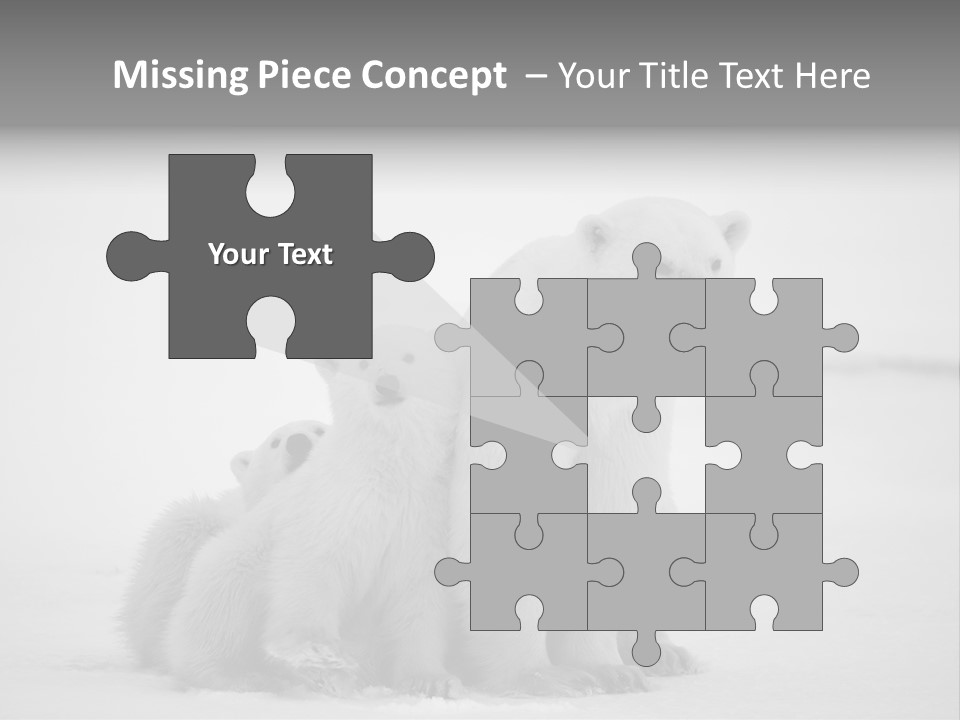 White Paw Northern PowerPoint Template