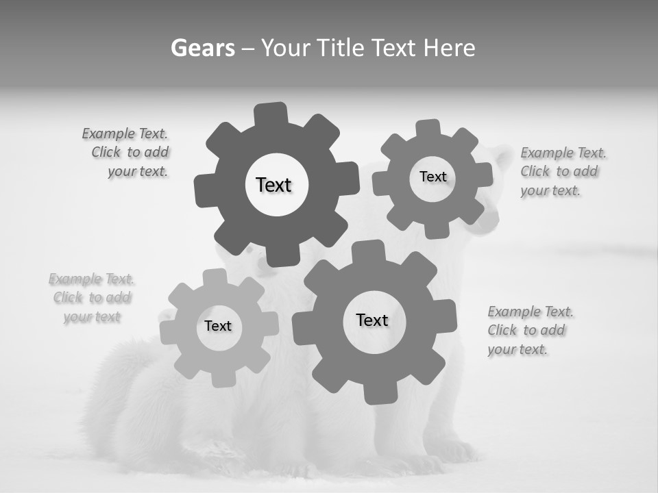 White Paw Northern PowerPoint Template