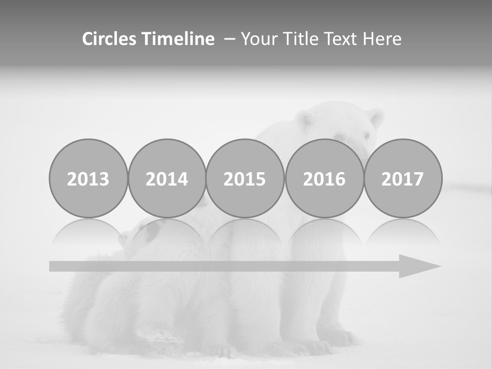 White Paw Northern PowerPoint Template