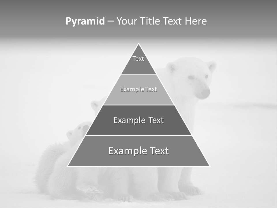 White Paw Northern PowerPoint Template