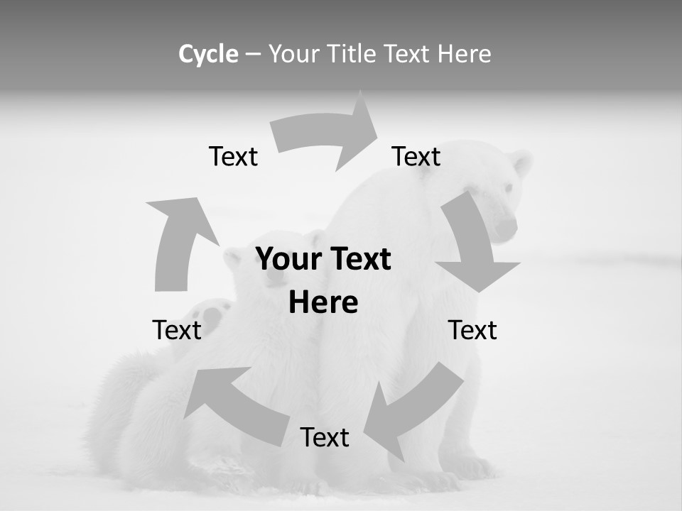 White Paw Northern PowerPoint Template