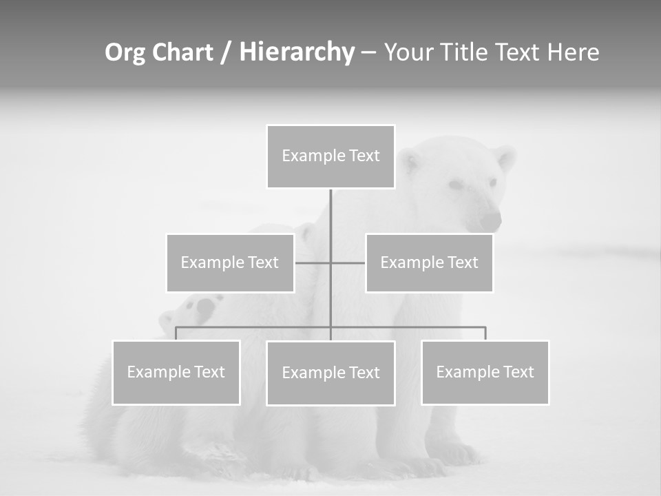 White Paw Northern PowerPoint Template
