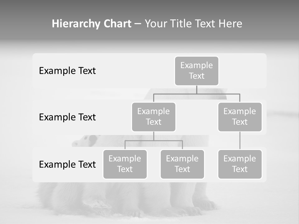 White Paw Northern PowerPoint Template
