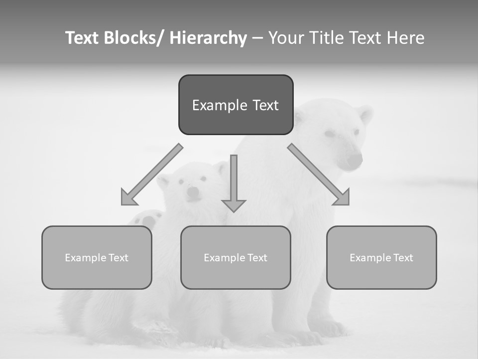 White Paw Northern PowerPoint Template