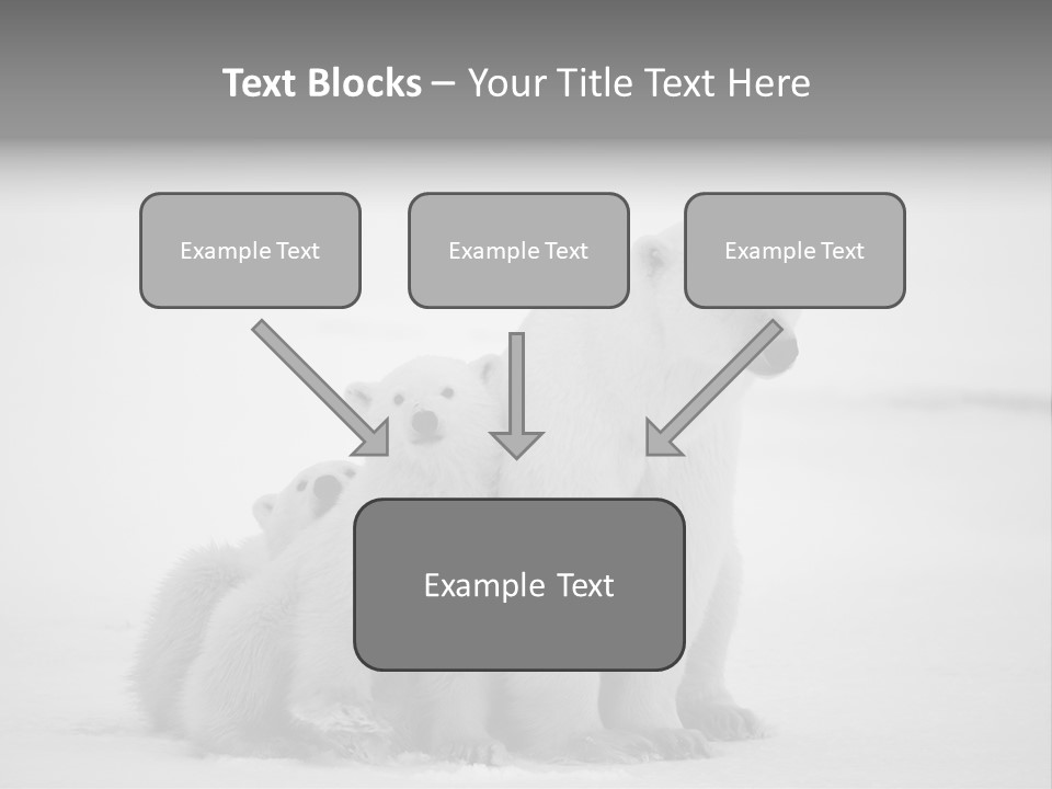 White Paw Northern PowerPoint Template