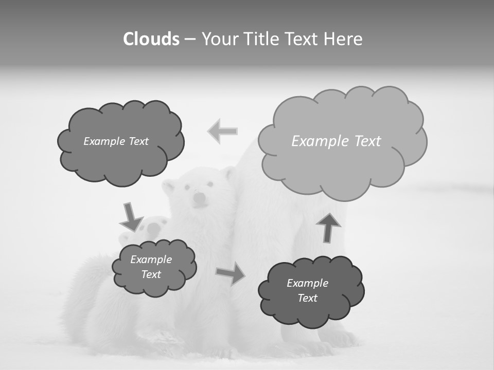 White Paw Northern PowerPoint Template
