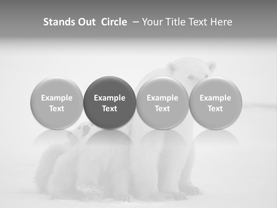 White Paw Northern PowerPoint Template