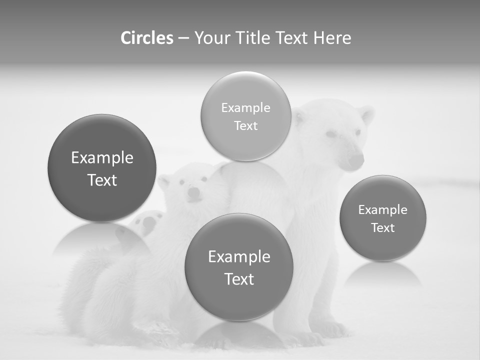 White Paw Northern PowerPoint Template