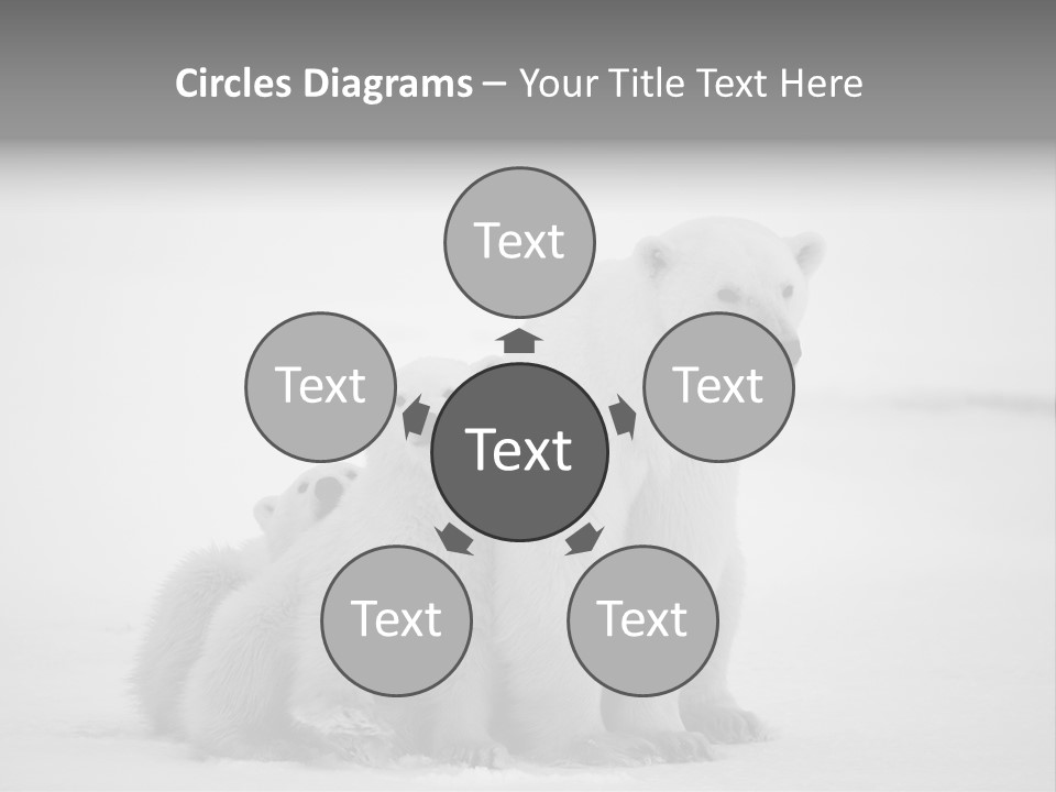 White Paw Northern PowerPoint Template