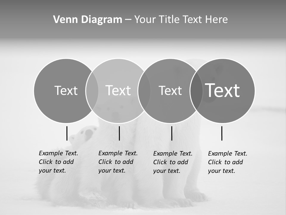 White Paw Northern PowerPoint Template