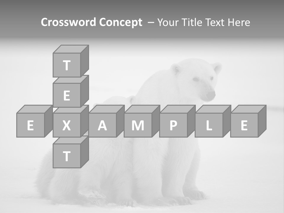 White Paw Northern PowerPoint Template