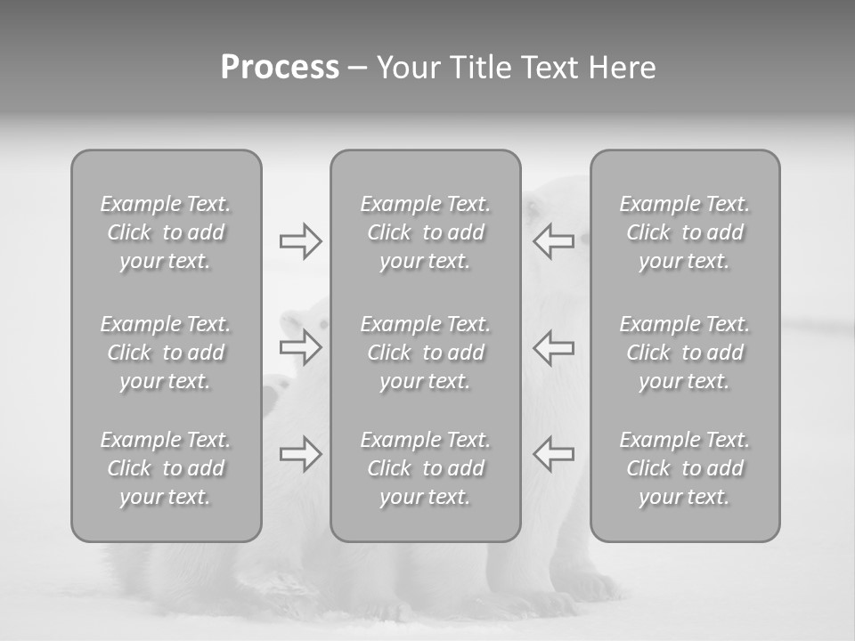 White Paw Northern PowerPoint Template