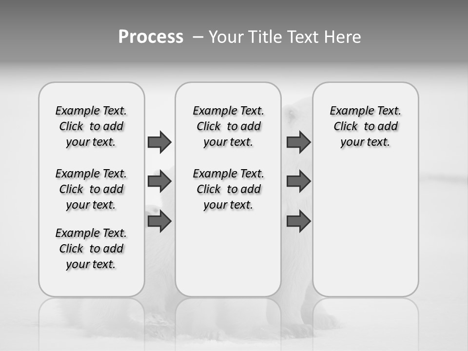 White Paw Northern PowerPoint Template