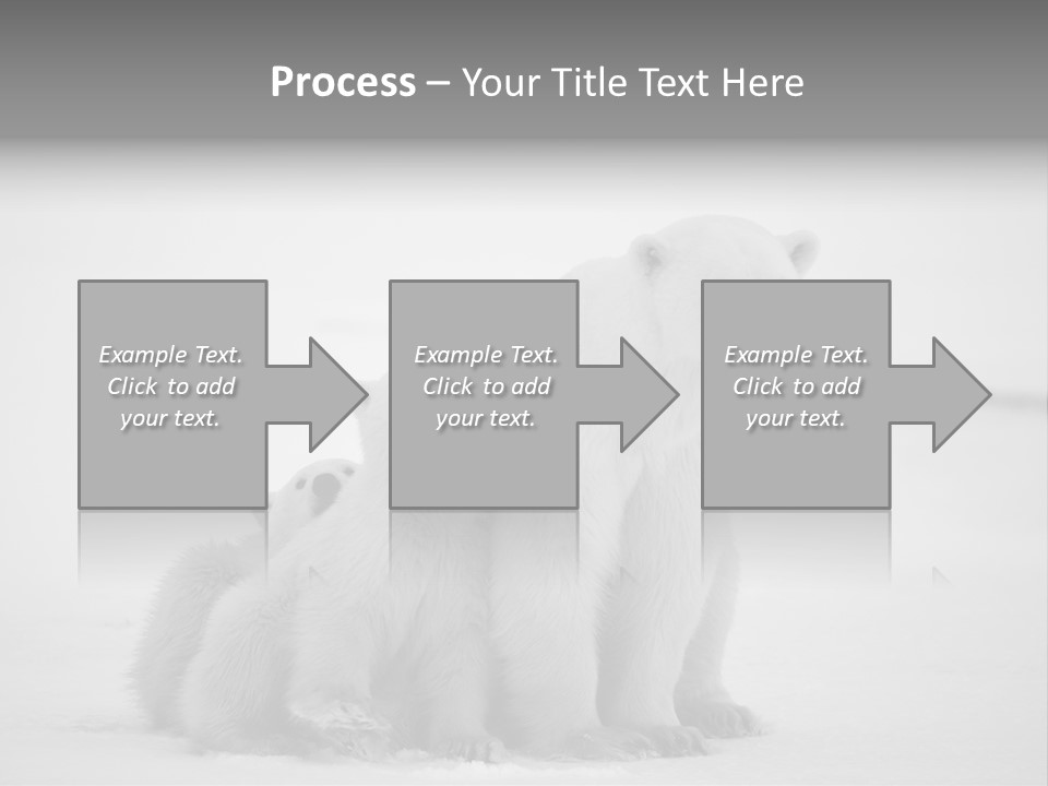 White Paw Northern PowerPoint Template