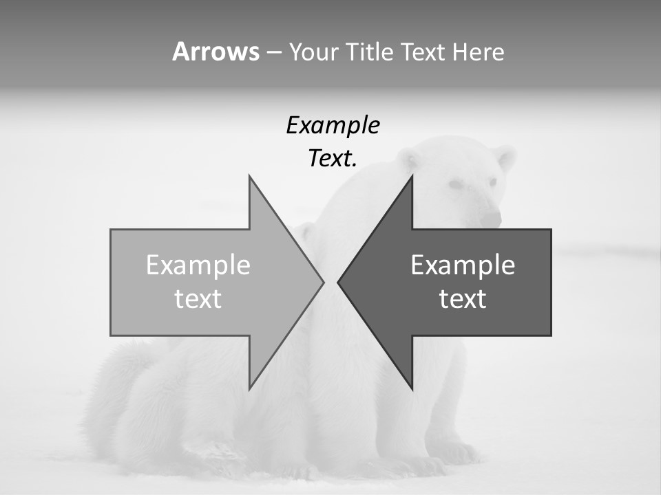 White Paw Northern PowerPoint Template