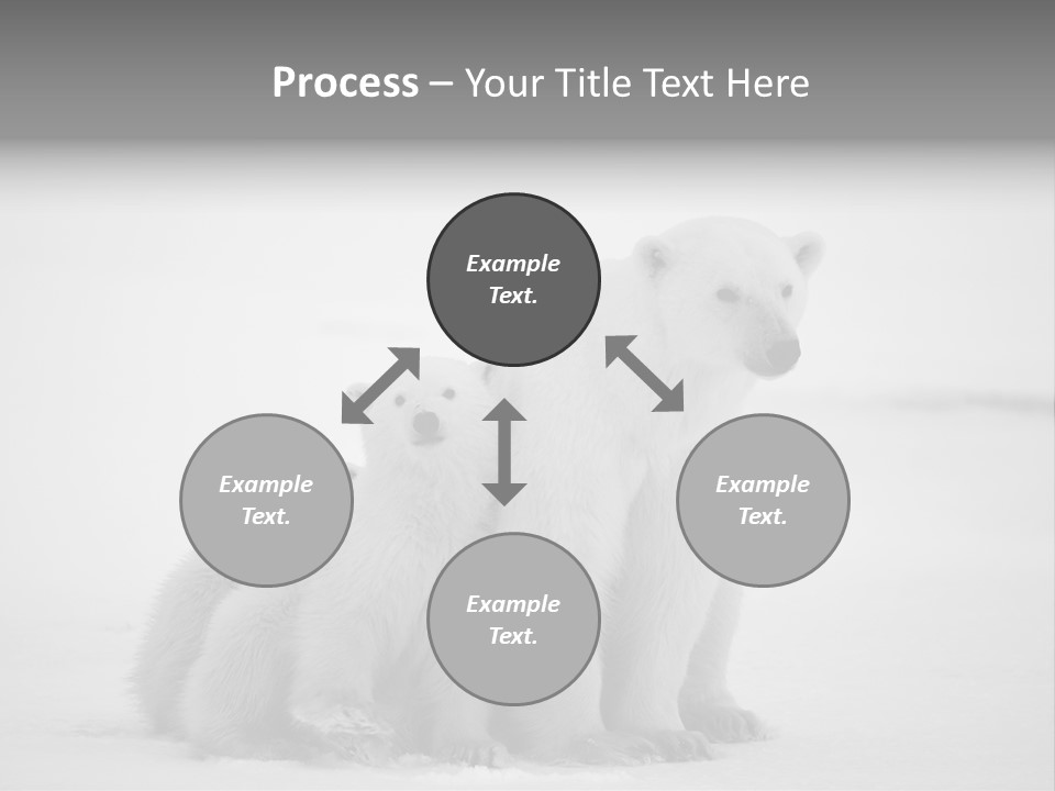 White Paw Northern PowerPoint Template