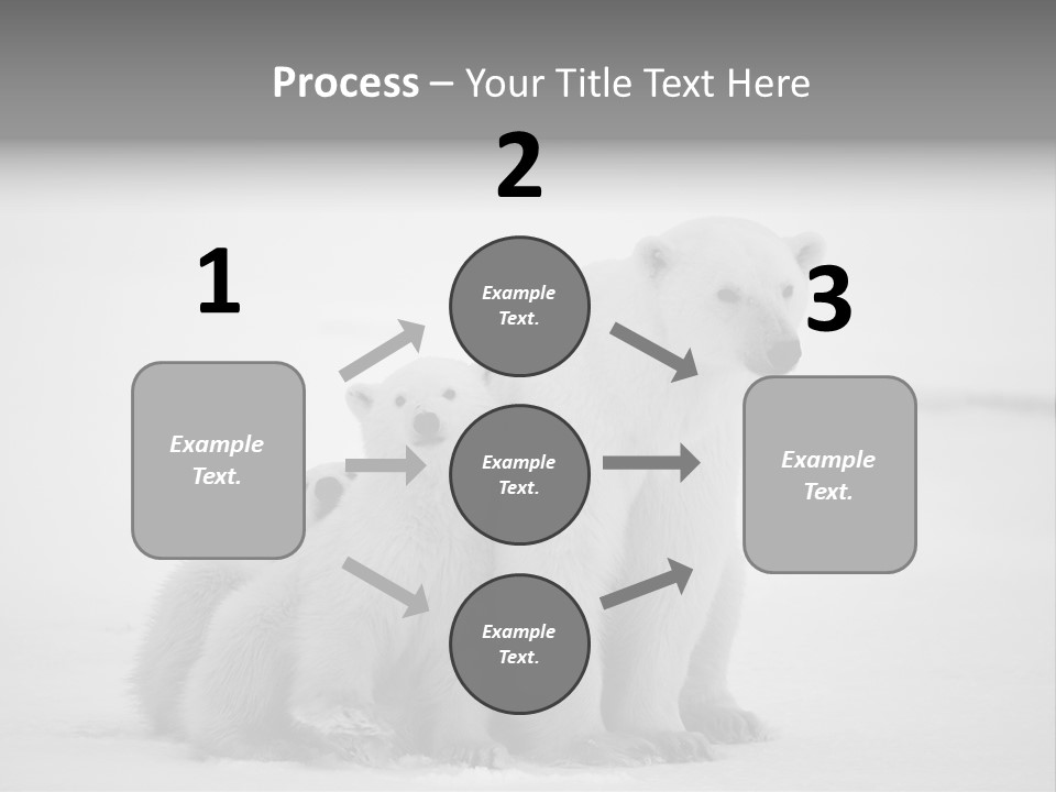 White Paw Northern PowerPoint Template