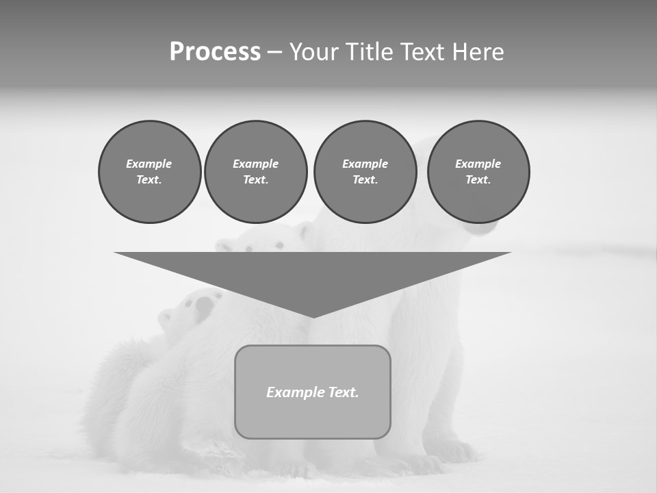 White Paw Northern PowerPoint Template