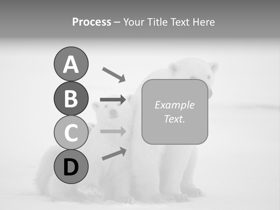 White Paw Northern PowerPoint Template