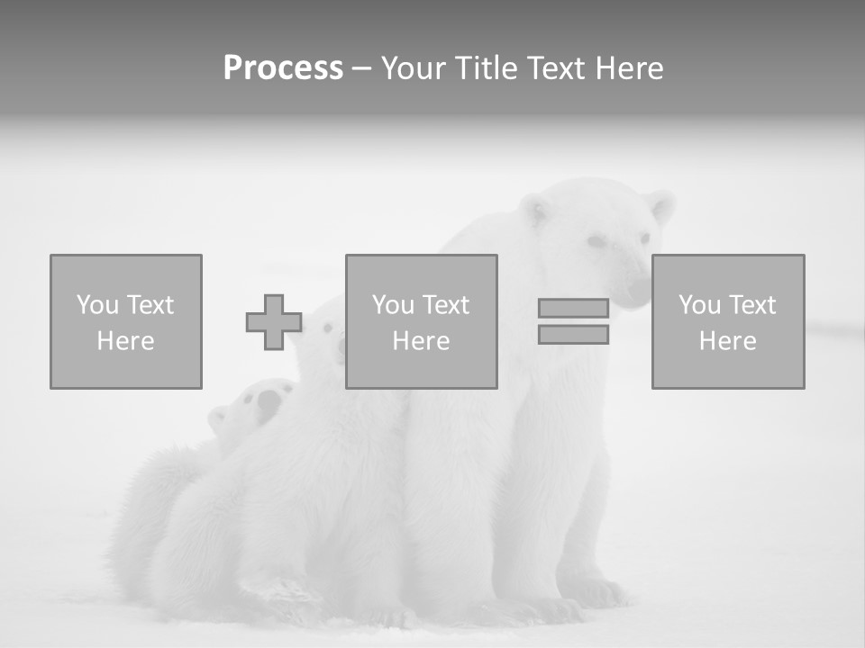 White Paw Northern PowerPoint Template