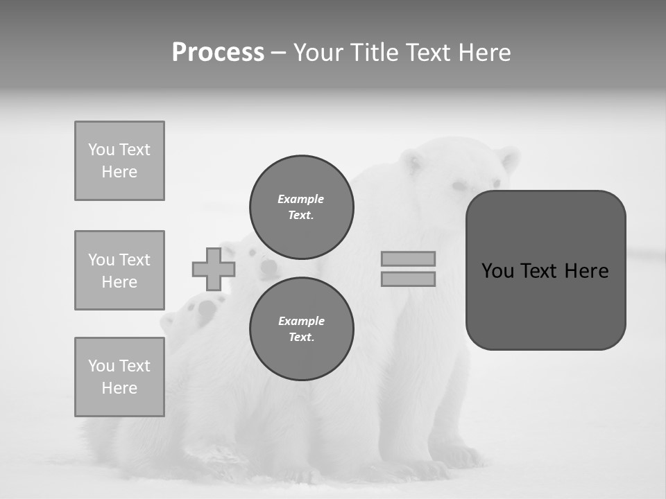 White Paw Northern PowerPoint Template