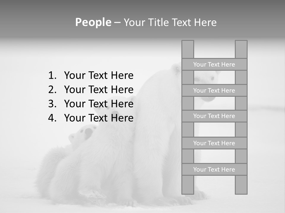 White Paw Northern PowerPoint Template
