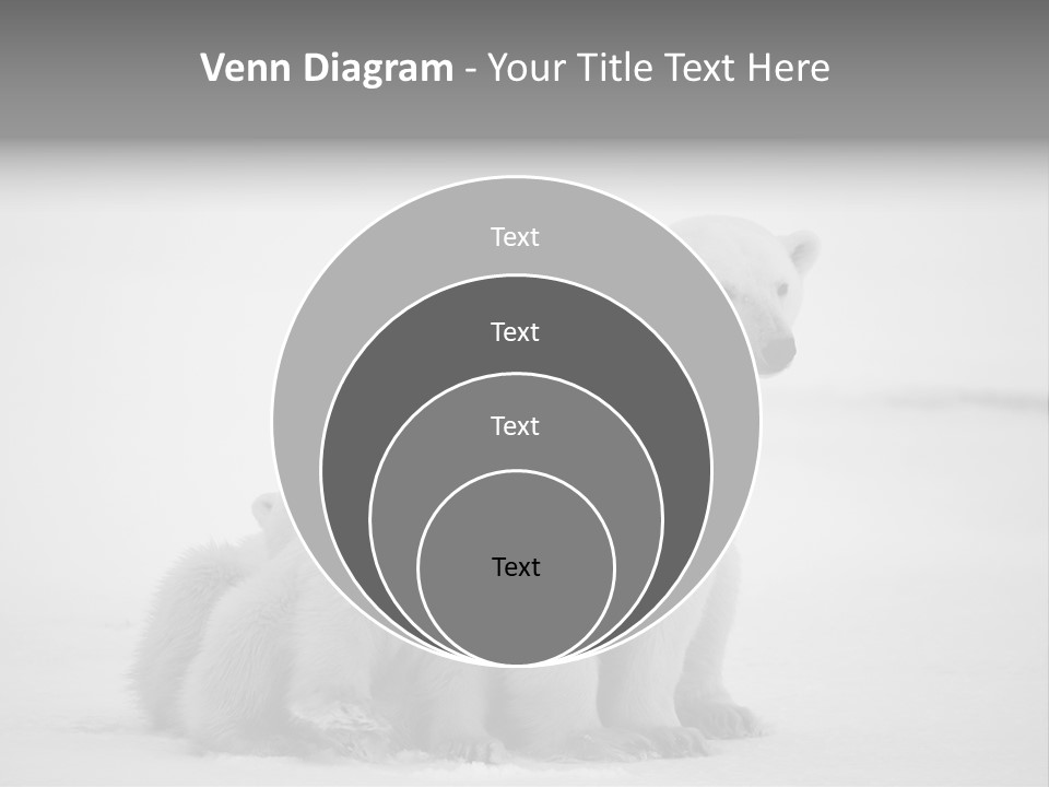 White Paw Northern PowerPoint Template