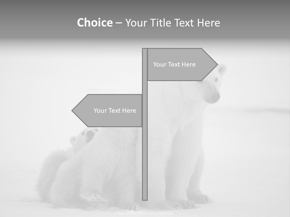 White Paw Northern PowerPoint Template