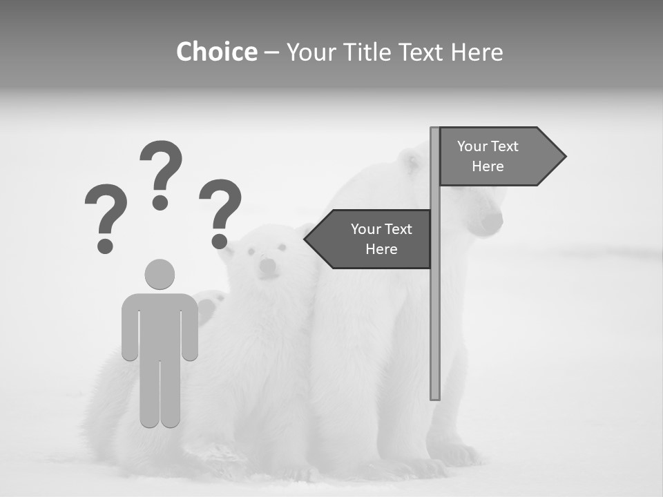 White Paw Northern PowerPoint Template